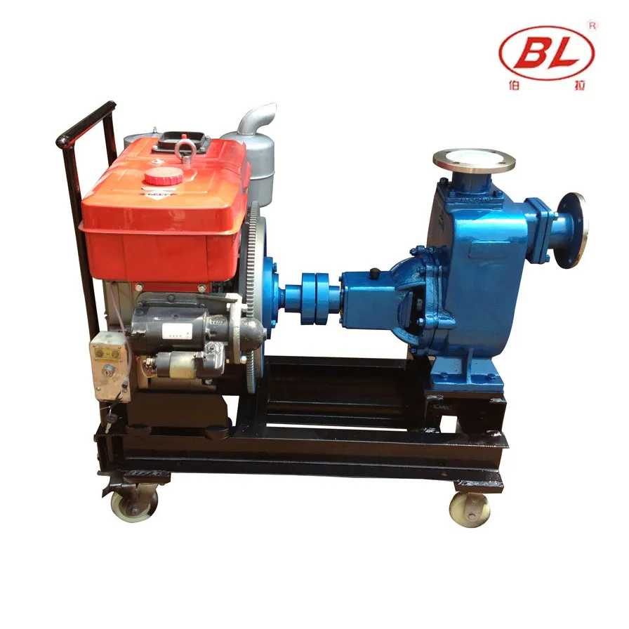 Single-Cylinder Diesel Self-Priming Water Pump for Agriculture